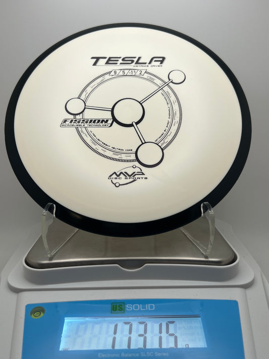 MVP Tesla