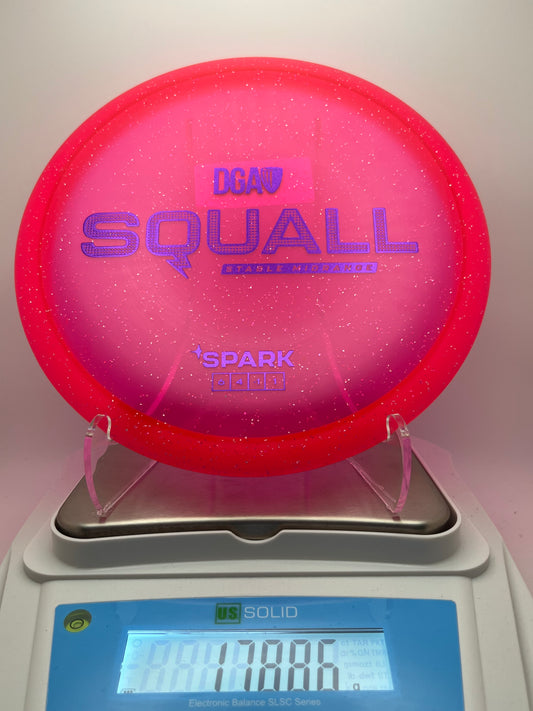 DGA Squall